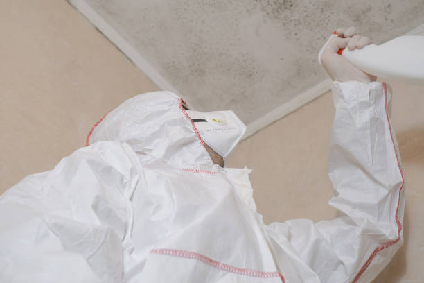 Best Residential Mold Remediation in Level Park Oak Park, MI