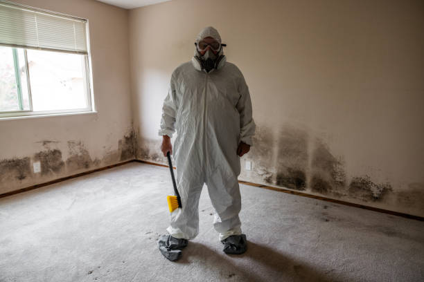 Best Residential Mold Remediation in Level Park Oak Park, MI
